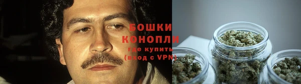 эйфоретик Вяземский