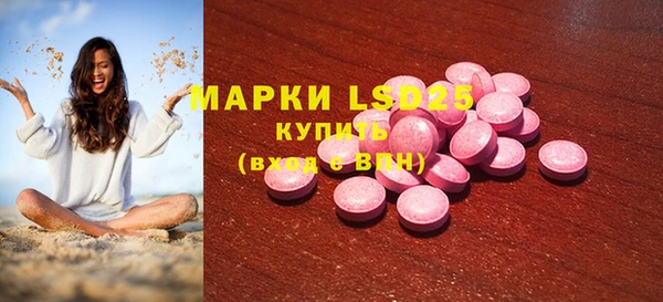 эйфоретик Вяземский