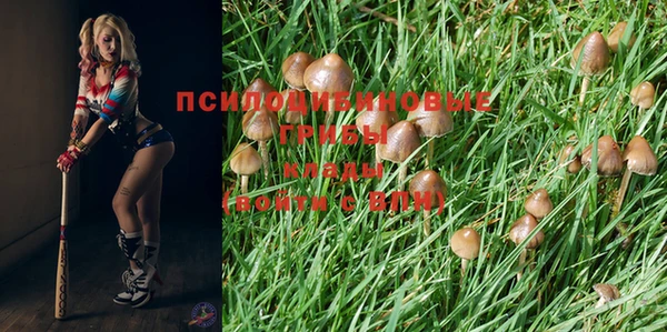 а пвп мука Киров