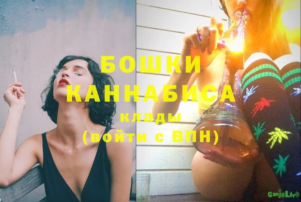 эйфоретик Вяземский